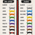 Ceintures de Judo et Jiu-Jitsu de couleurs variées exposées avec soin