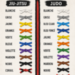 Ceintures de Judo et Jiu-Jitsu de couleurs variées exposées avec soin