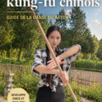 Vue d'ensemble d'un jeu de kung fu en ligne captivant.