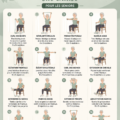 Exercices à la chaise avec bandes élastiques pour seniors. Mobilité et douceur.