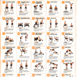 Affiche d'exercices avec haltères montrant plusieurs mouvements de musculation.