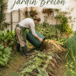 Un jardin breton avec des plantes variées et un banc en bois.