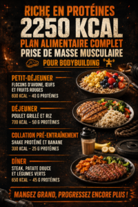 Illustration d'un repas riche en protéines pour la musculation, incluant viandes, légumes et féculents