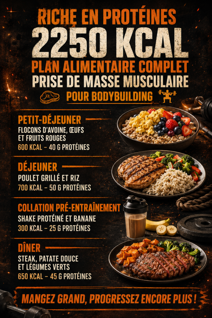 Illustration d'un repas riche en protéines pour la musculation, incluant viandes, légumes et féculents
