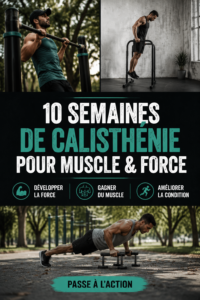 Femme s'entraînant avec des poids dans une salle de gym, illustrant un programme de musculation.