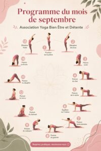 Séance de yoga en pleine nature avec des femmes en pleine détente
