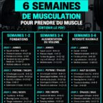 Plan d'entraînement pour l'hypertrophie sur 6 semaines, incluant des exercices variés et des conseils adaptés aux femmes.