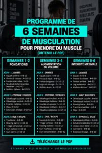 Plan d'entraînement pour l'hypertrophie sur 6 semaines, incluant des exercices variés et des conseils adaptés aux femmes.