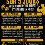 Programme de musculation hebdomadaire sur un tableau, mettant en avant une routine de 5 jours pour les femmes.