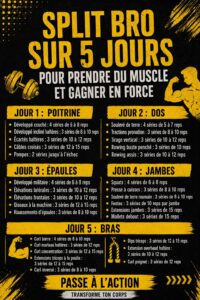 Programme de musculation hebdomadaire sur un tableau, mettant en avant une routine de 5 jours pour les femmes.