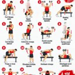 Programme de musculation pour femmes portant des poids et s'entraînant