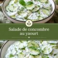 Salade de concombre au yaourt fraîche et colorée sur une table en bois