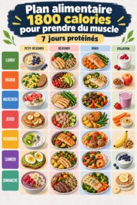 Plan de repas musculation avec recettes saines
